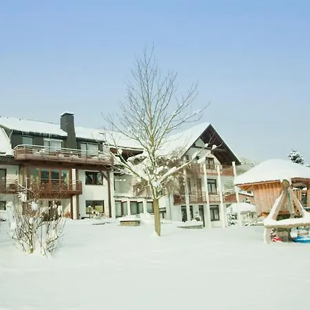 Appartement Haus Alexandra Inkl Meinecard Willingen (Upland)