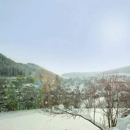 Appartement Haus Alexandra Inkl Meinecard