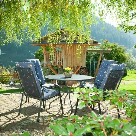 Haus Alexandra Inkl Meinecard Виллинген
