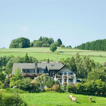 Haus Alexandra Apartment Willingen (Upland)