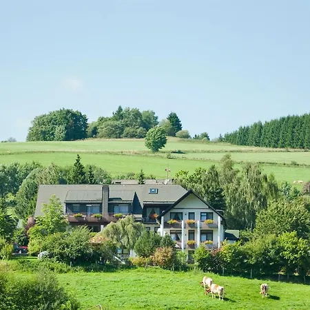 Haus Alexandra Inkl Meinecard Appartement Willingen (Upland)