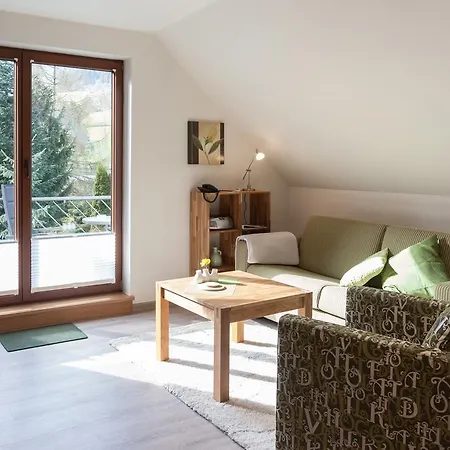Haus Alexandra Inkl Meinecard Виллинген